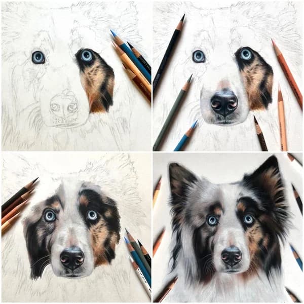 Collaborative portrait process